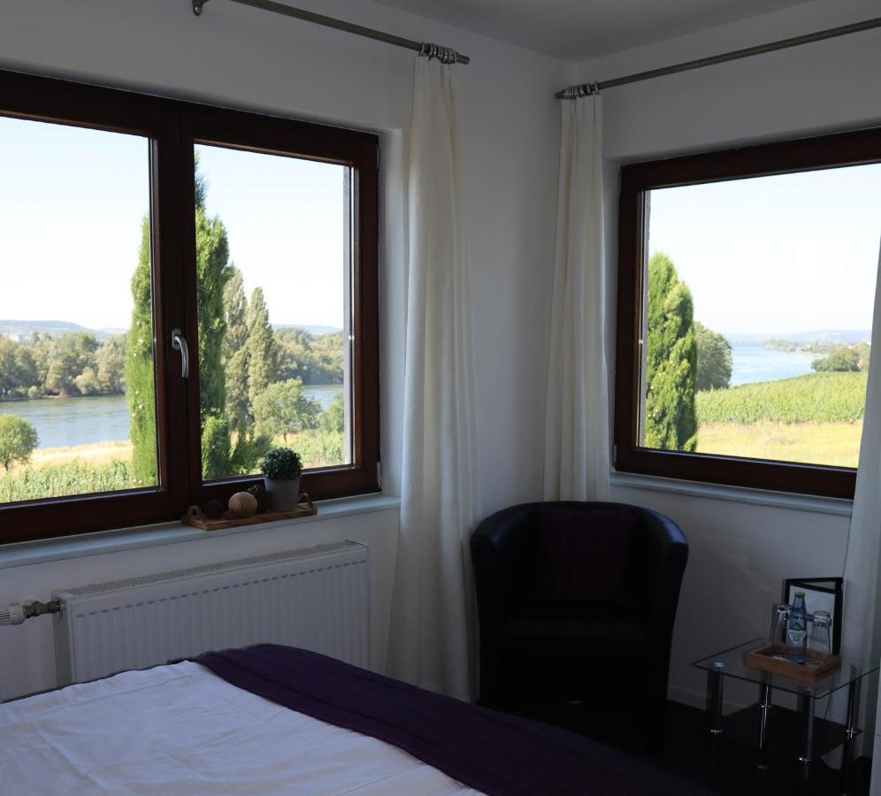 Rheinblick Hattenheim Boutique Art Gaestehaus Екстер'єр фото